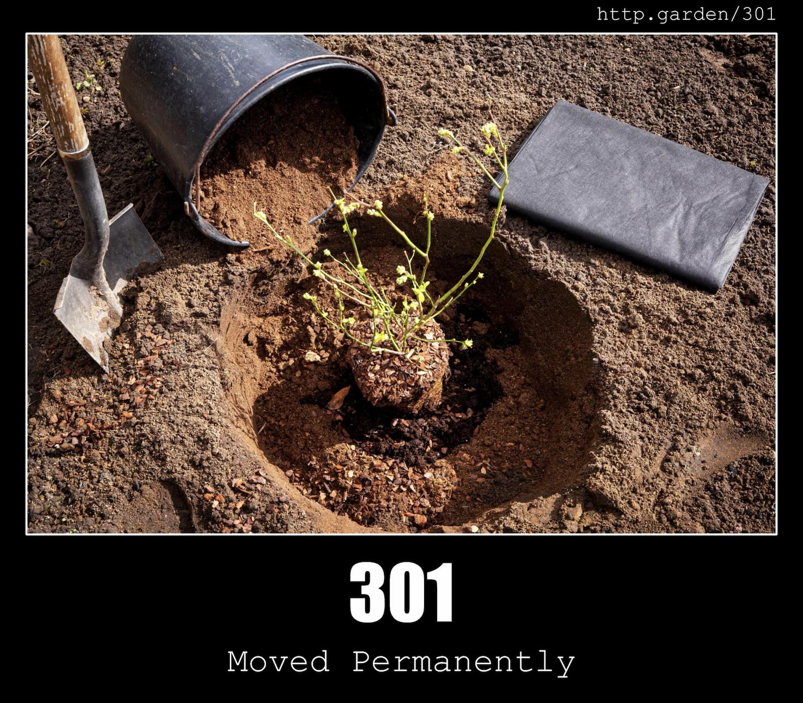 A repotted plant with caption "301 Moved Permanently"