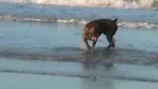 Look how dat boy mind me! Joby and Lonnie at the beach. Original