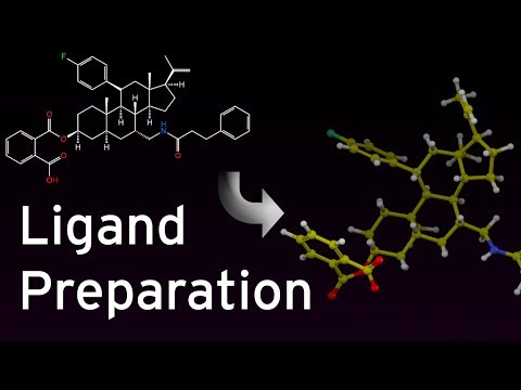 Ligand Preparation with LigPrep