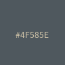 #4F585E