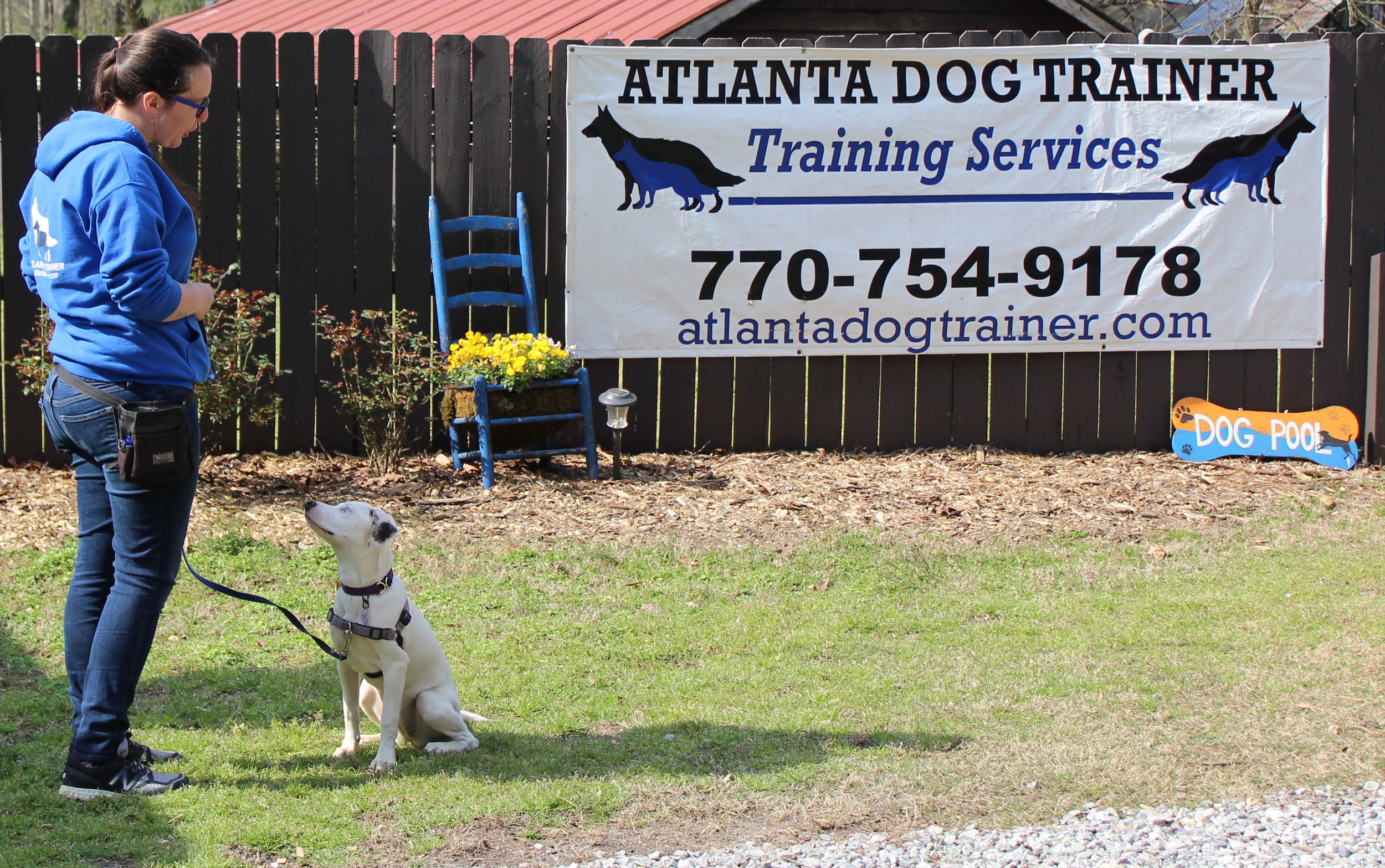 Atlanta Dog Trainer