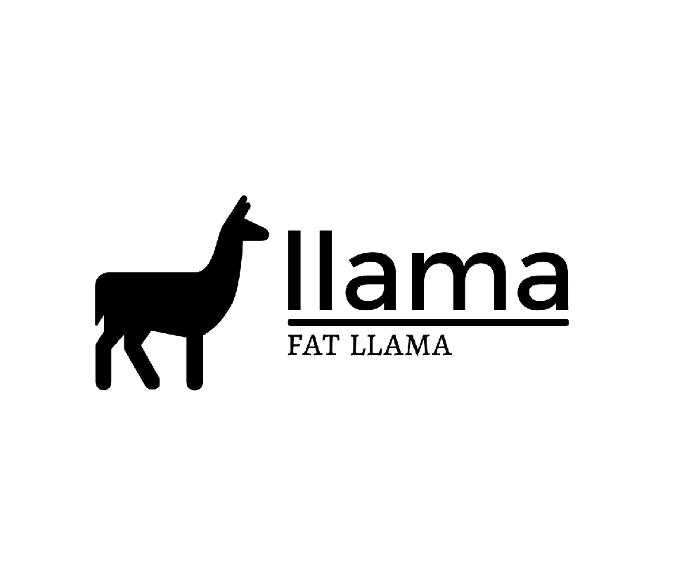 GitHub - bkraad47/fat_llama_fftw: fat_llama_fftw is a Python package ...