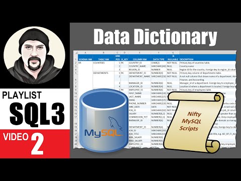 Overview Video
