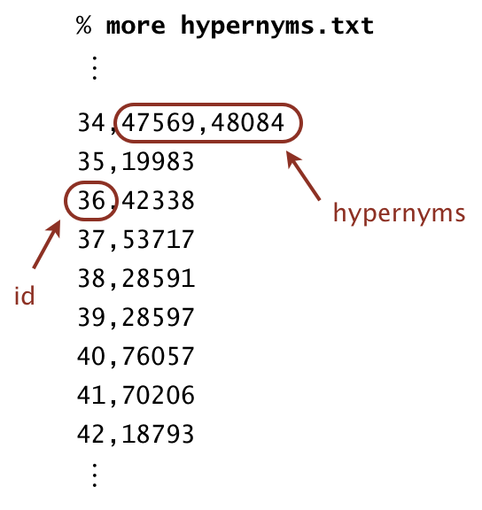 Synsets