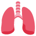 Lungs