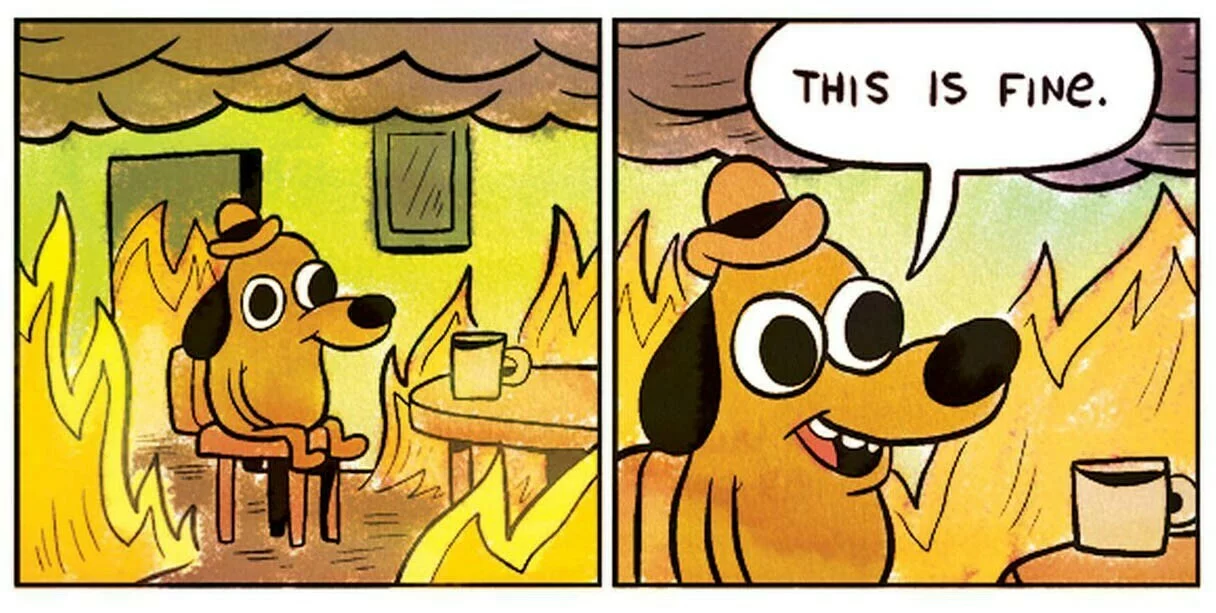 Meme of a dog in a burning room saying 'This is fine'