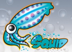 Squid Proxy