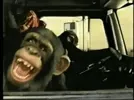 Cracking Up Lol GIF via www.youtube.com