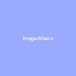 ImageJ Macro