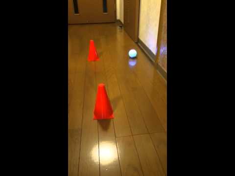 Sphero 2.0 controlled by Scratch(Japanese + English caption)