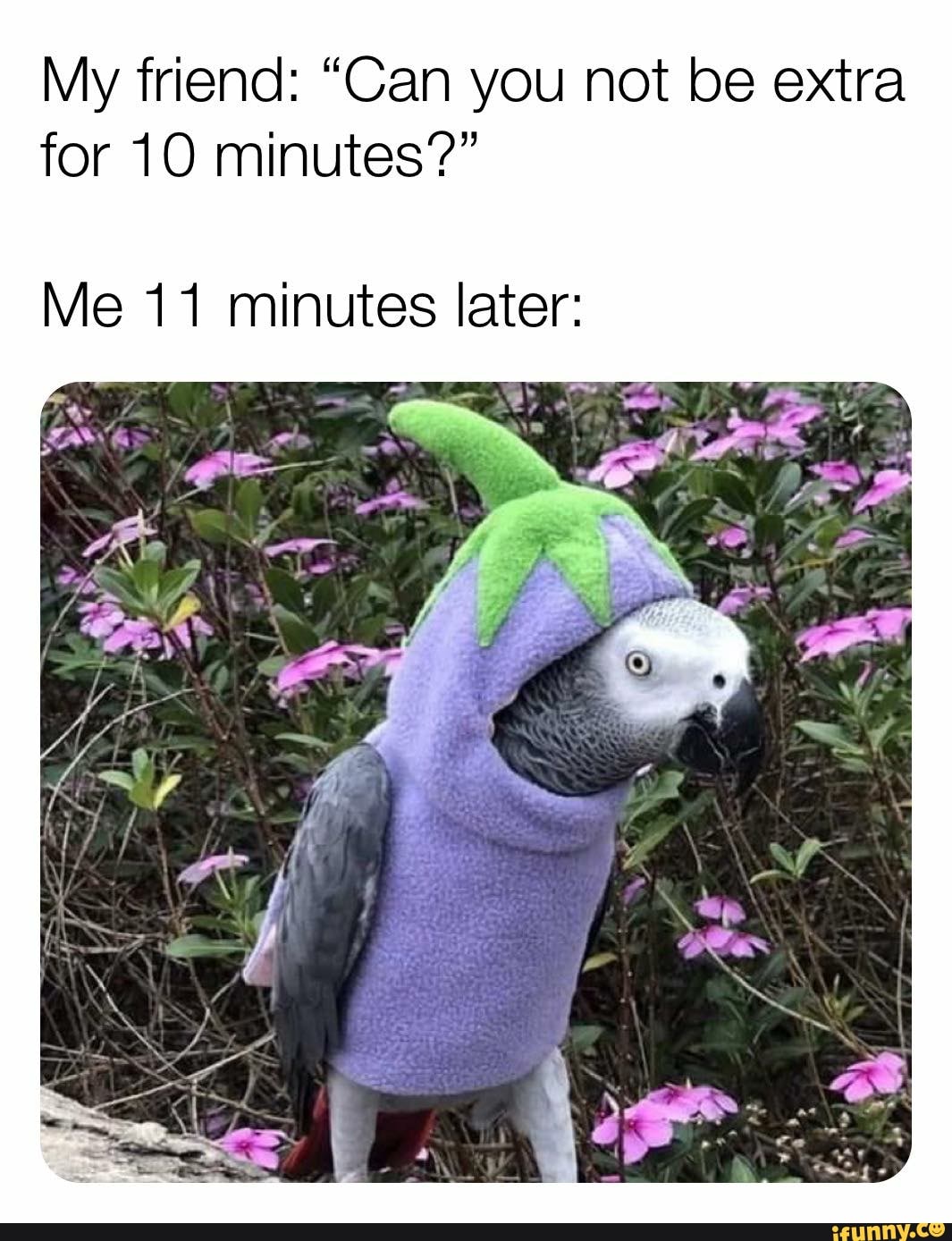 My friend: Can you not be extra for 10 minutes? Me 11 minutes later (bird in a vegetable costume)