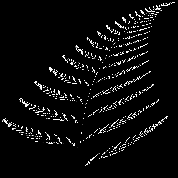 GitHub - avborup/barnsley-fern: Client-side browser generator for ...