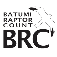 BRC logo