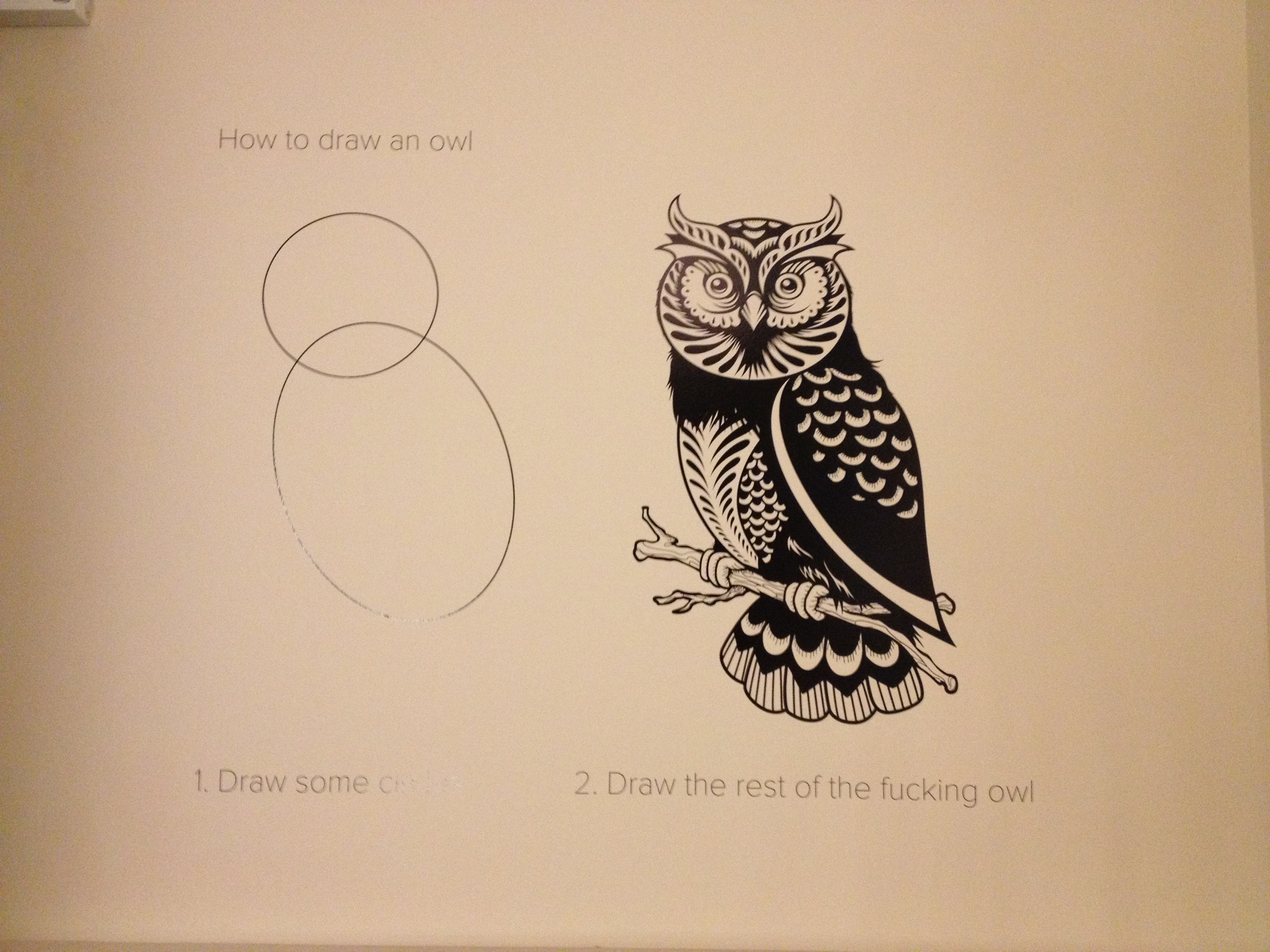 Draw the rest of the owl