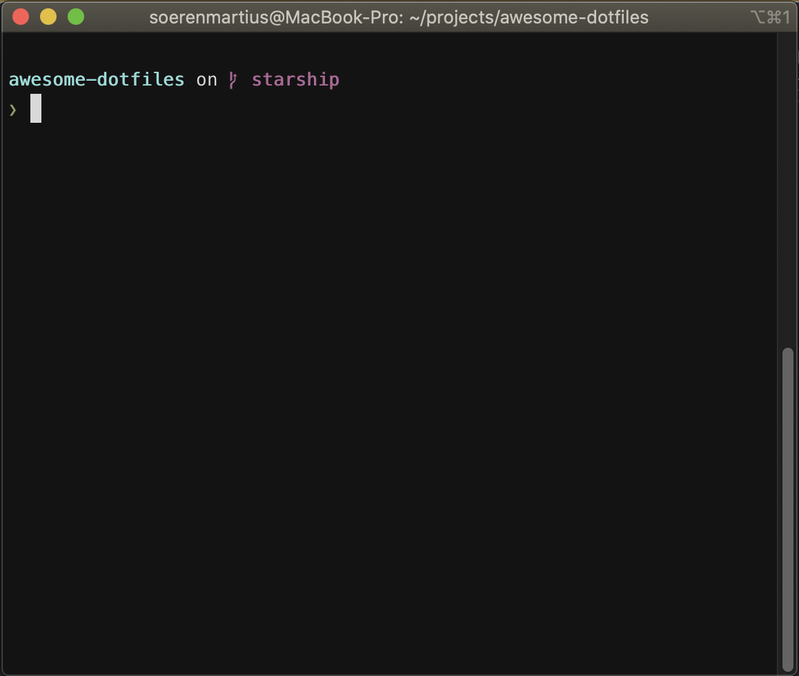 Screenshot of my shell prompt