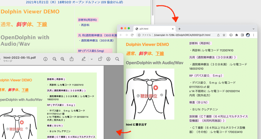 OpenDolphin HTML/PDF Viewer