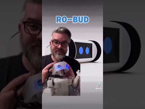 Ro-Bud Project - Part 4