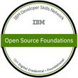 Open Source Foundations