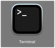 Terminal