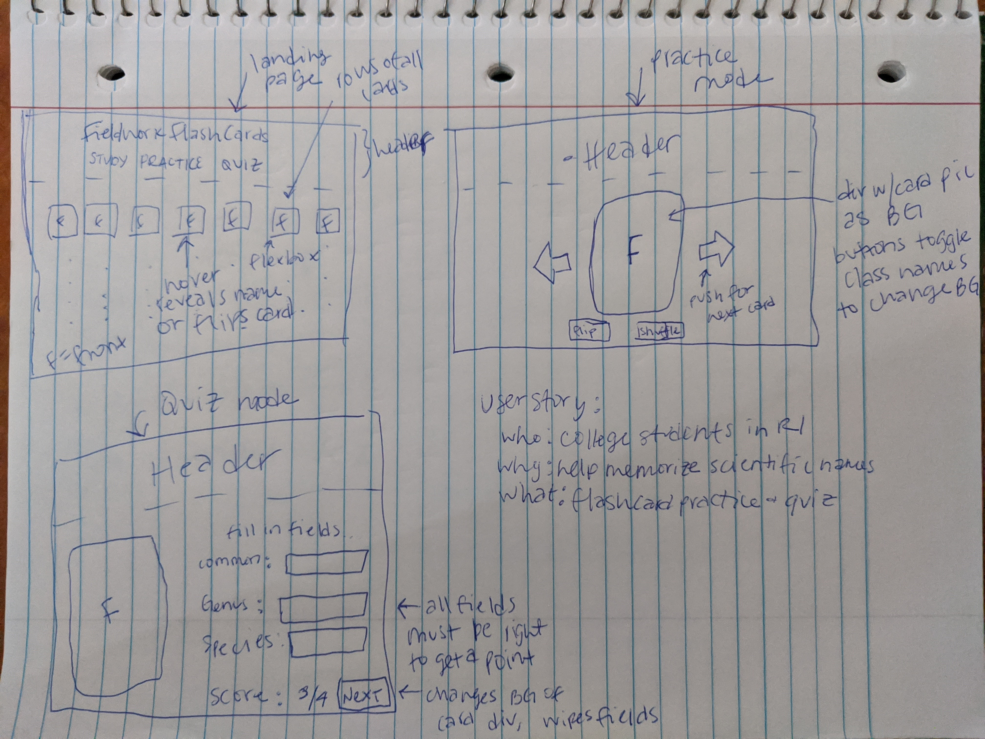 Fieldwork Flashcards rough sketch