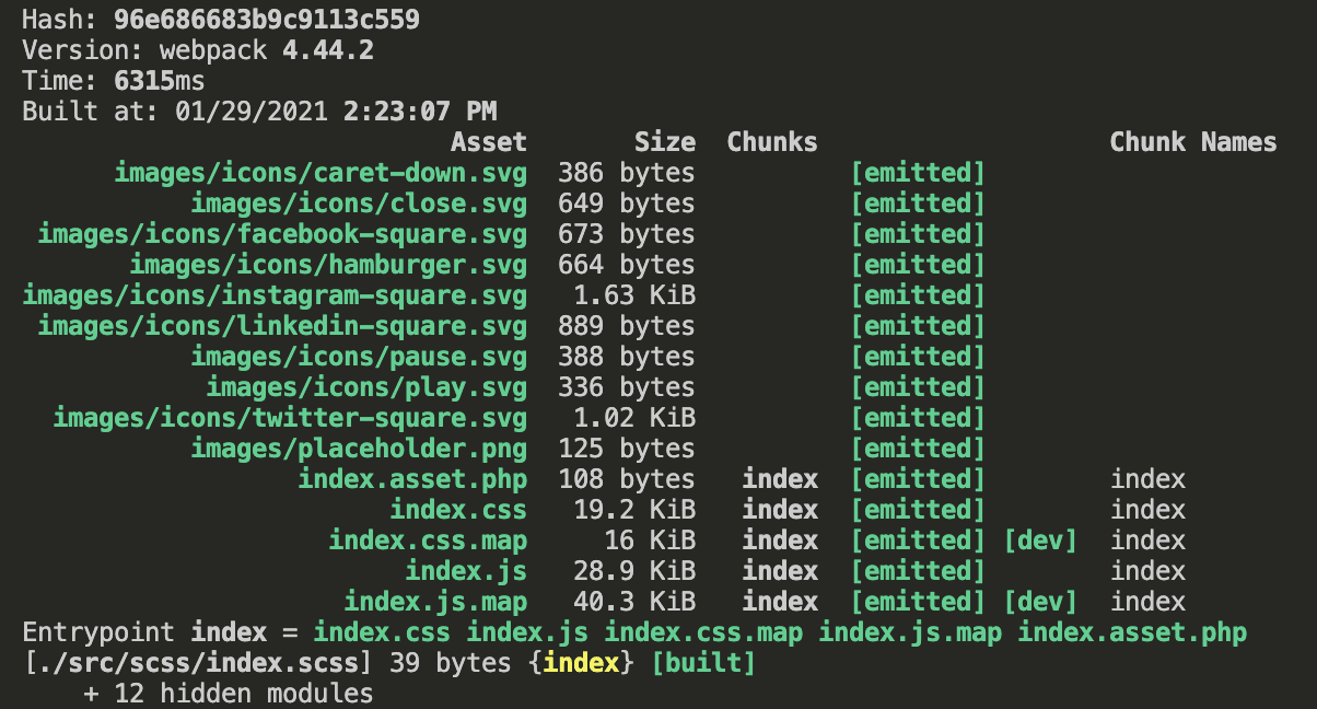 screenshot of npm run build in terminal