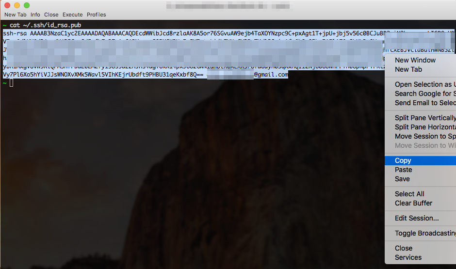 cat ~/.ssh/id_ras.pub