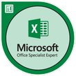 Microsoft Office Specialist: Excel 2013 Expert