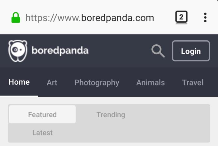 Screenshot Description
