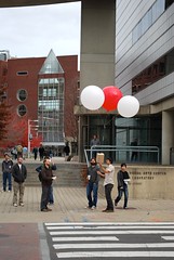 Fotos de Globos