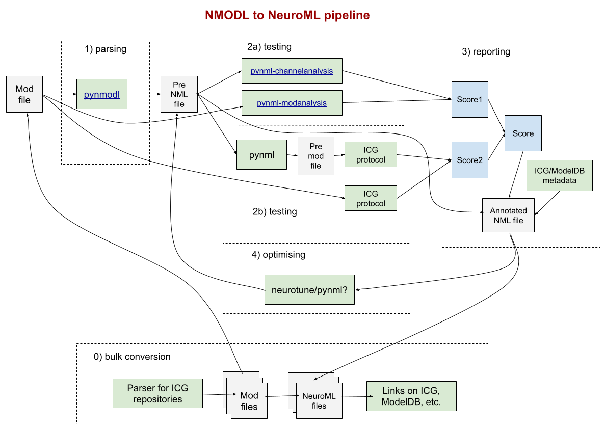 mod2neuroml