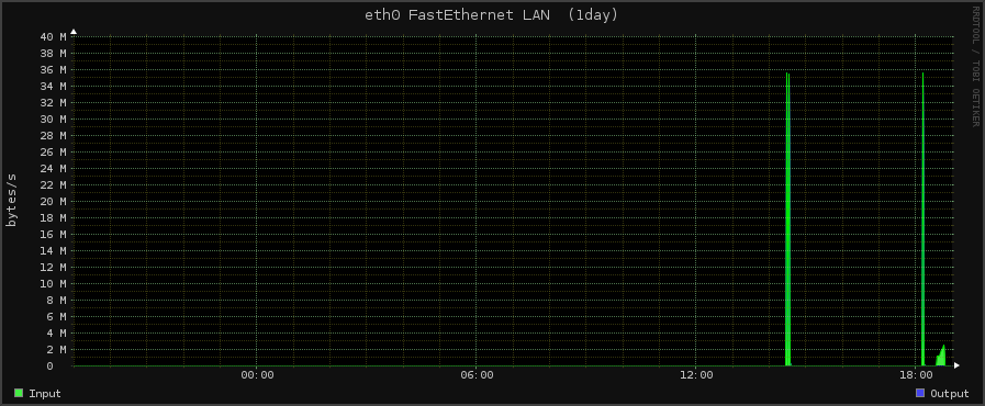 net01z 1day