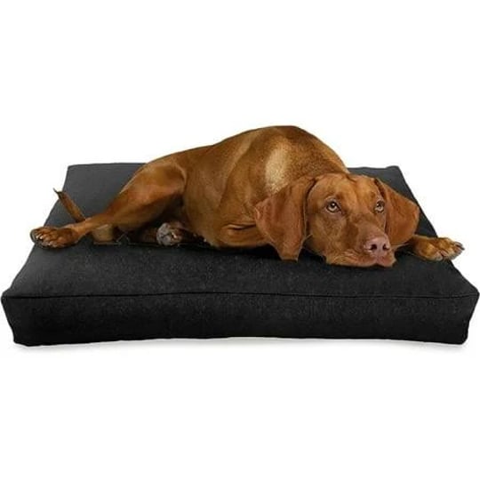 large-42-x-28-x-5-black-premium-organic-hemp-dog-bed-organic-latex-fill-removeable-cover-1