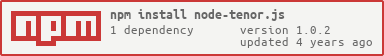 NPM Install Info