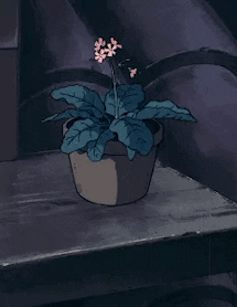 Animated GIF-downsized_large