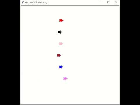 Turtle racing game demo