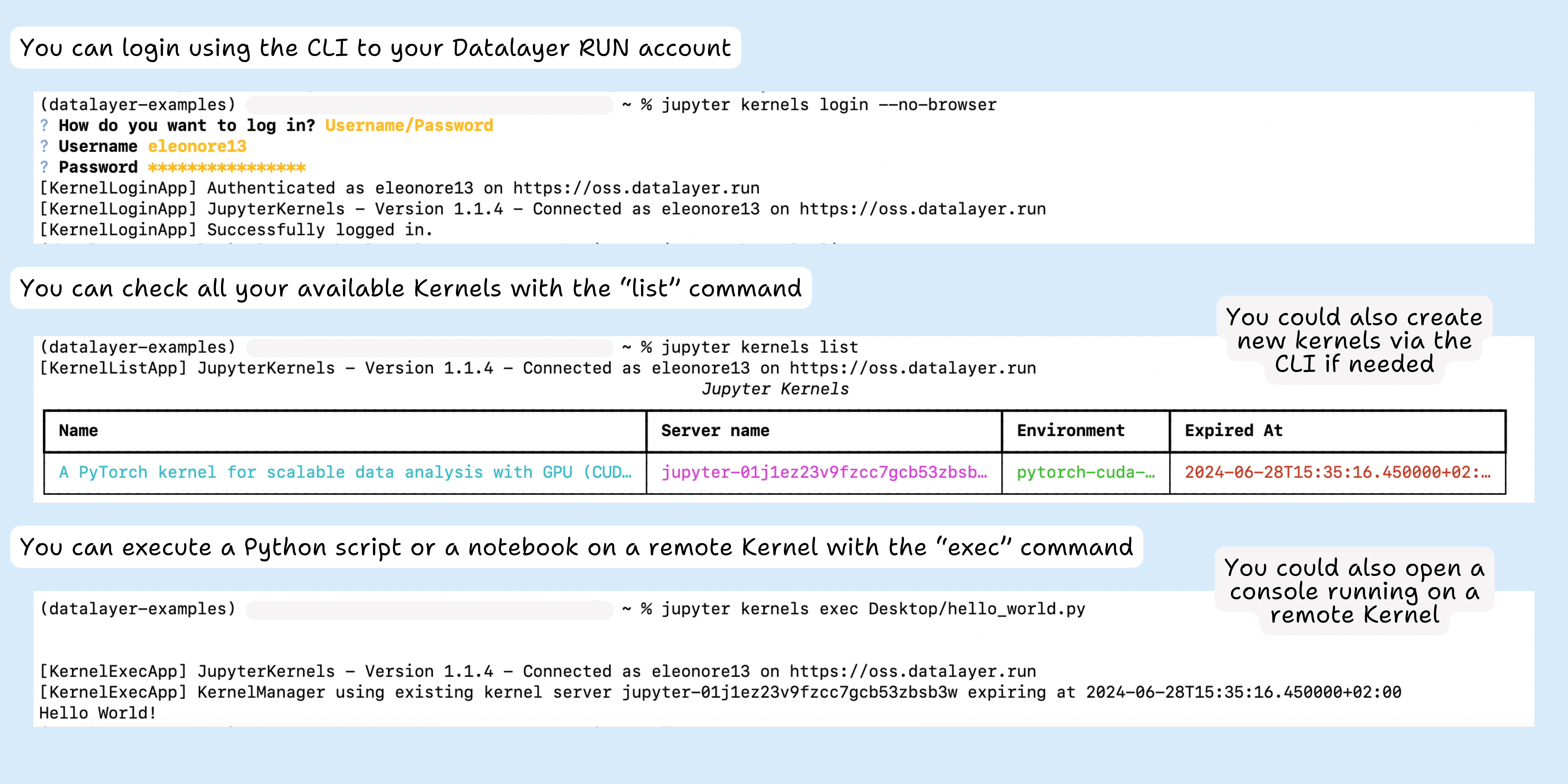 CLI remote execution