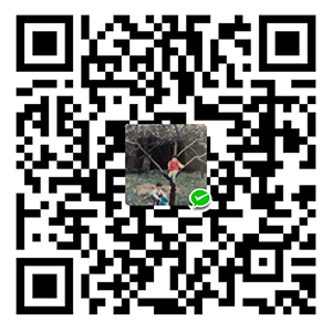 wechat pay