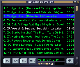 Screenshot from reAMP playlist window