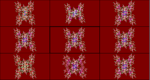 Colour Biomorphs Breeding Grid
