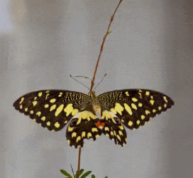 Color-Dropper-ezgif-com-optimize