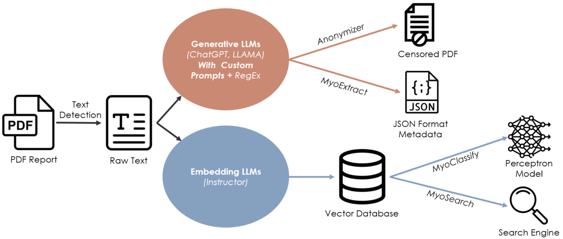 NLMyo Workflow