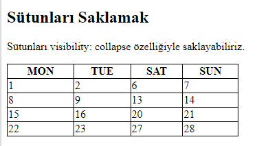 Çıktı