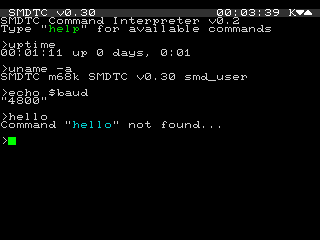 Screenshot of the terminal emulator