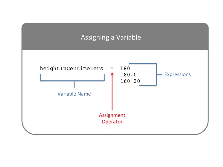 Assignment Expression Graphic