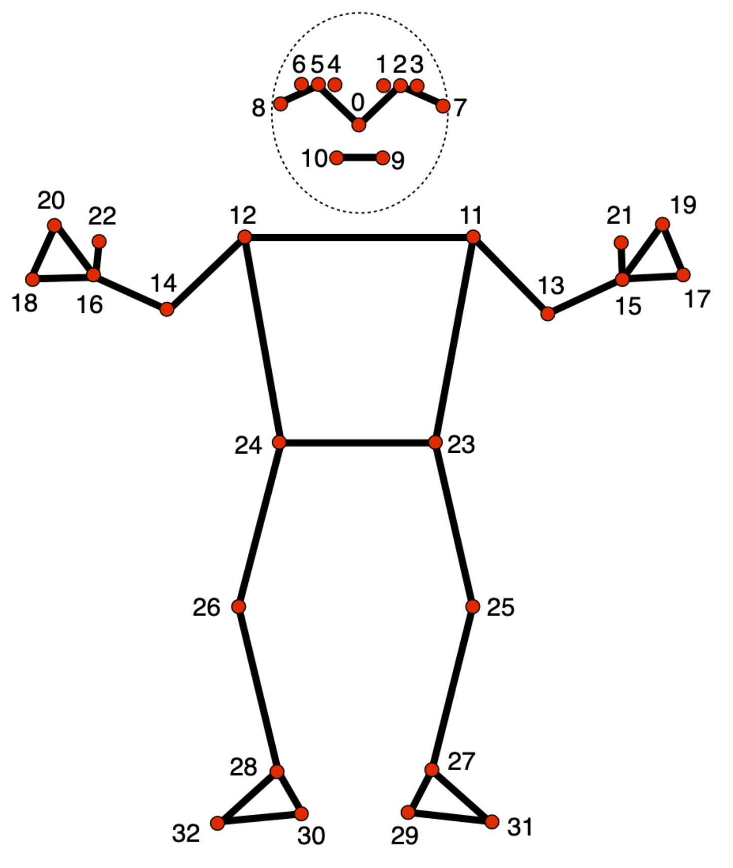 Joints of the MediaPipe pose model
