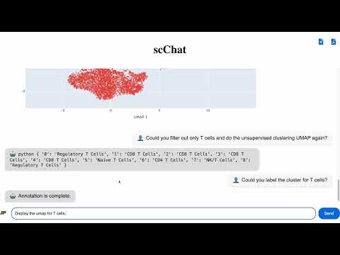 scChat Video Demo