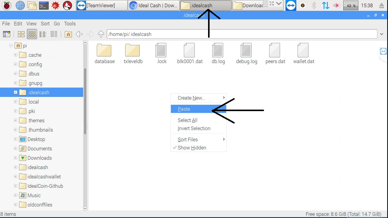 Open .idealcash folder again, right click in the white area and paste the config file.