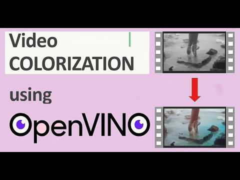 GitHub - computervisionpro/video-colorization