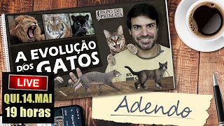 A evolução dos gatos (Adendo - Parte 1)