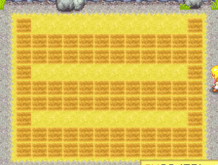 A screenshot of Harvest Moon DS Cute, showing a tilled farmland in a pattern.